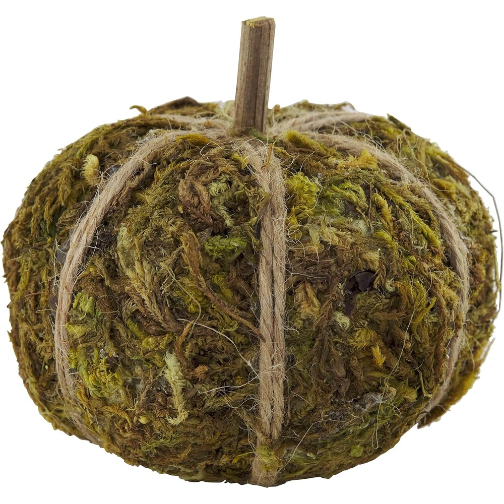 image:imageMud Pie Moss Mini Pumpkin Vase Filler2 12 x 2 12 dia Pack of 1