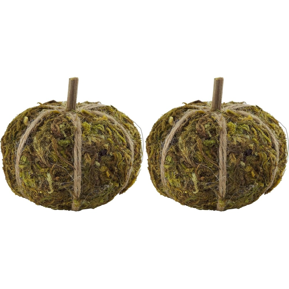 image:imageMud Pie Moss Mini Pumpkin Vase Filler2 12 x 2 12 dia Pack of 2