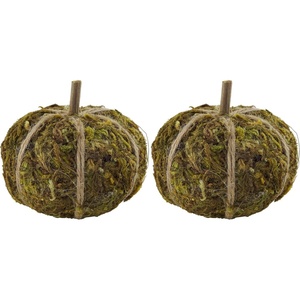 Mud Pie Moss Mini Pumpkin Vase Filler(2 1/2″ x 2 1/2″ dia (Pack of 2))